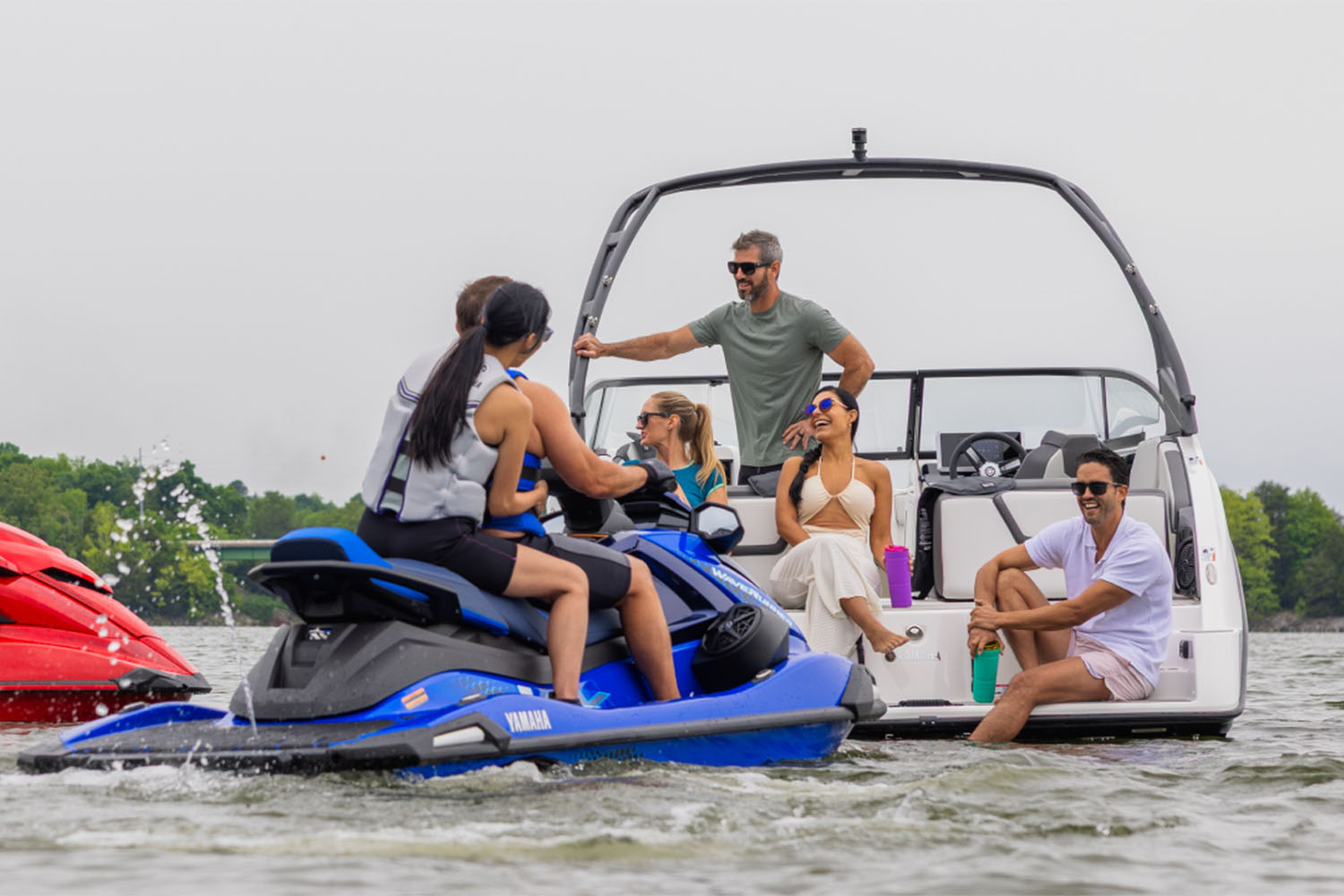 2026 Yamaha Boats AR250 DOPHIN Gray Boat