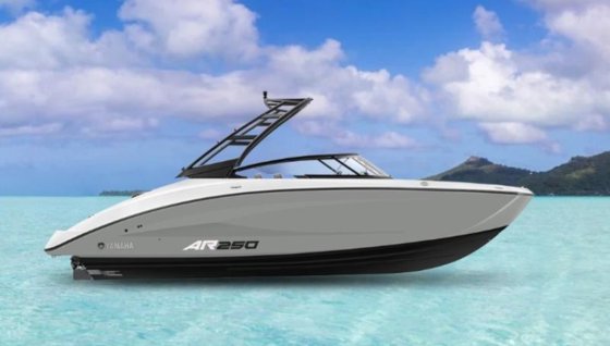 2026 Yamaha Boats AR250 DOPHIN Gray Boat